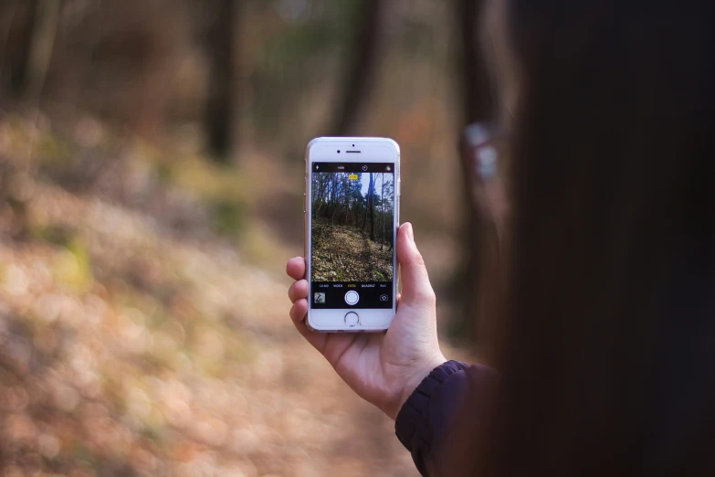 an old po being taken on a phone screen