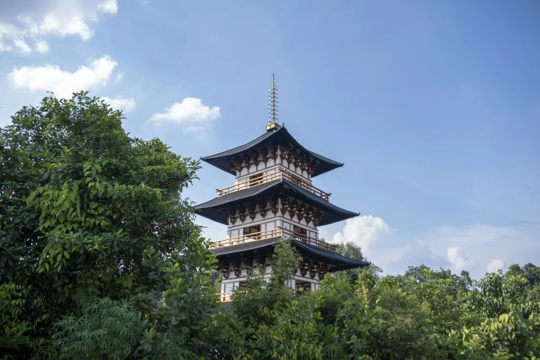 a tall wooden tower in the forest on a sunny day