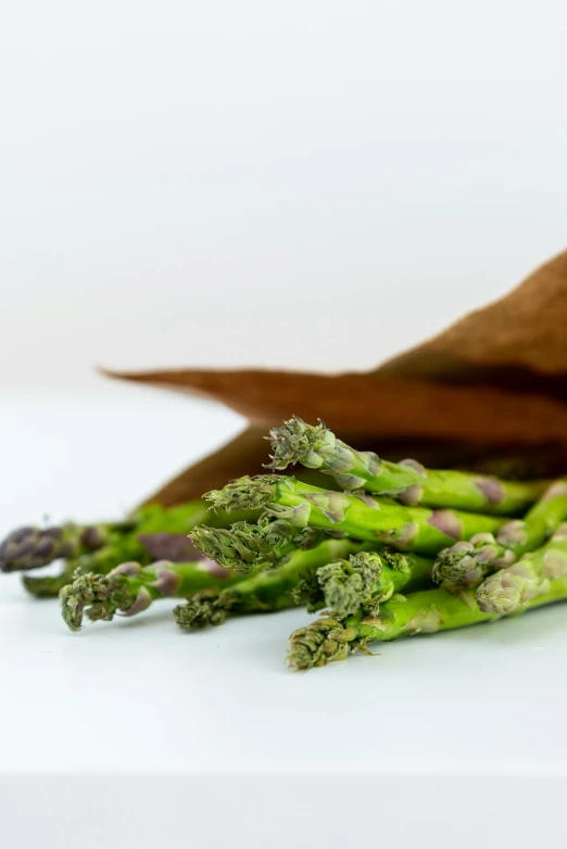 asparagus stems with an old cloth covering them