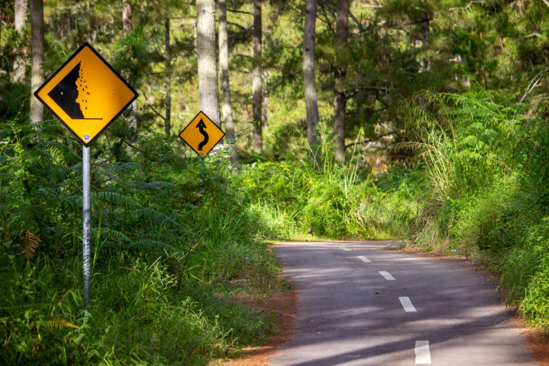 road construction signs pointing in two directions, on both sides of the street