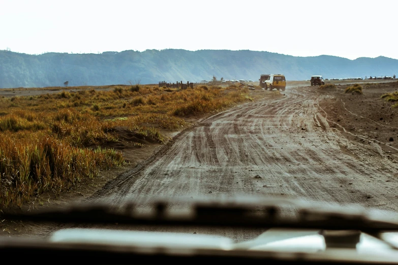 a dirt road with cattle standing near the roadside