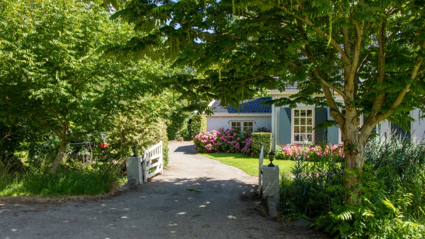 there are flowers around the house and trees