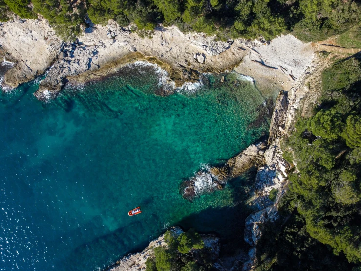 an aerial view of a lagoon in the middle of the woods