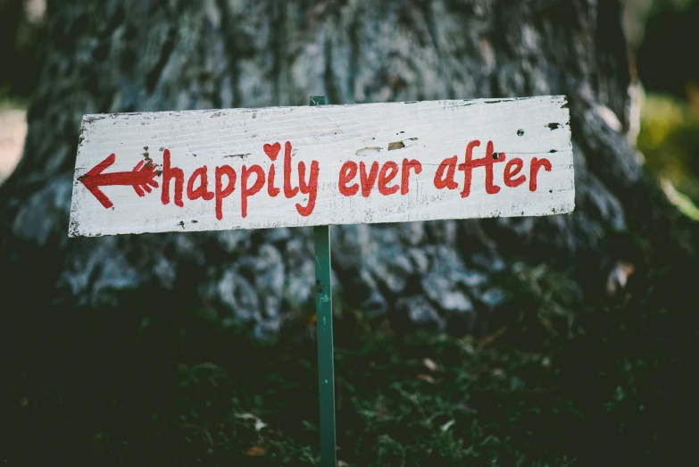 a wooden sign saying happily ever after pointing to another