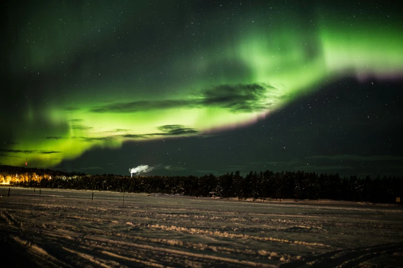 bright, green lights fill the sky above the snow - covered field