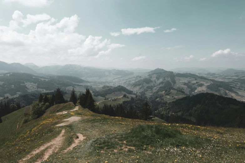 a lush green mountain filled with lots of trees