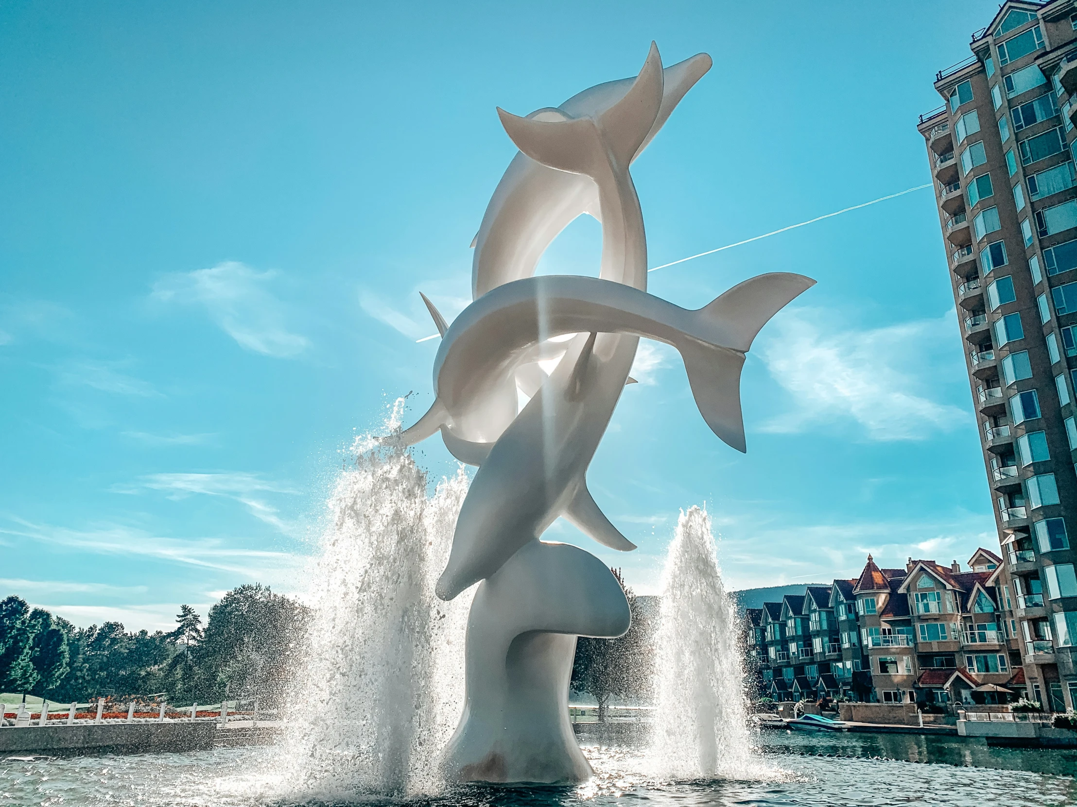 two dolphins are jumping out of the water in front of the buildings