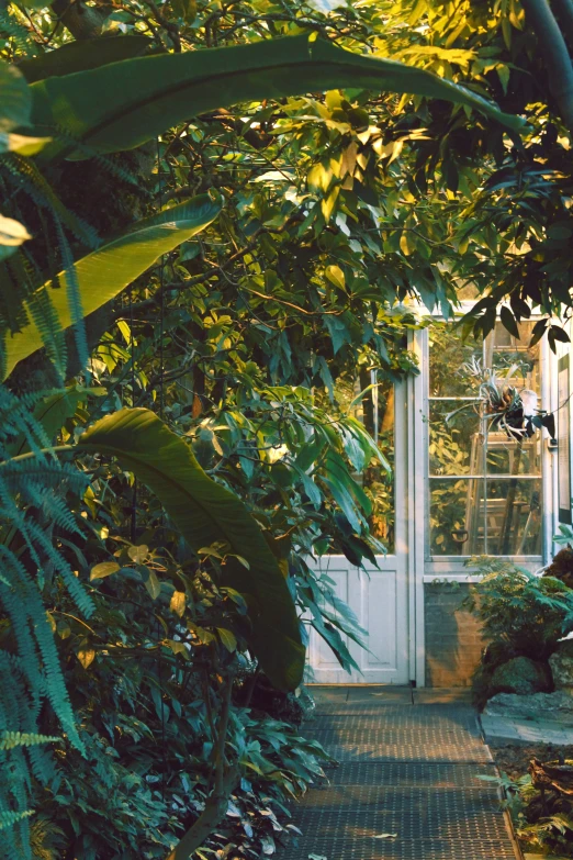 a white door and white window in a yard