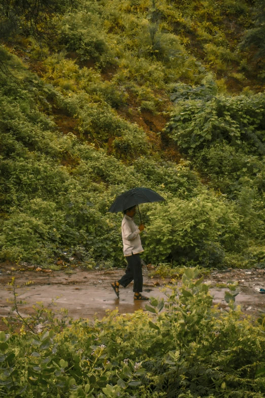 a person walking with an umbrella in the rain