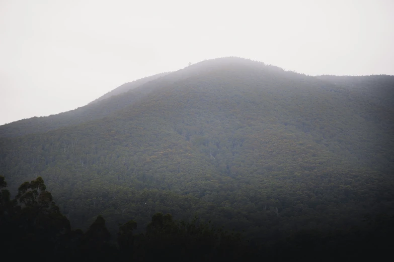 a big mountain with some trees on top