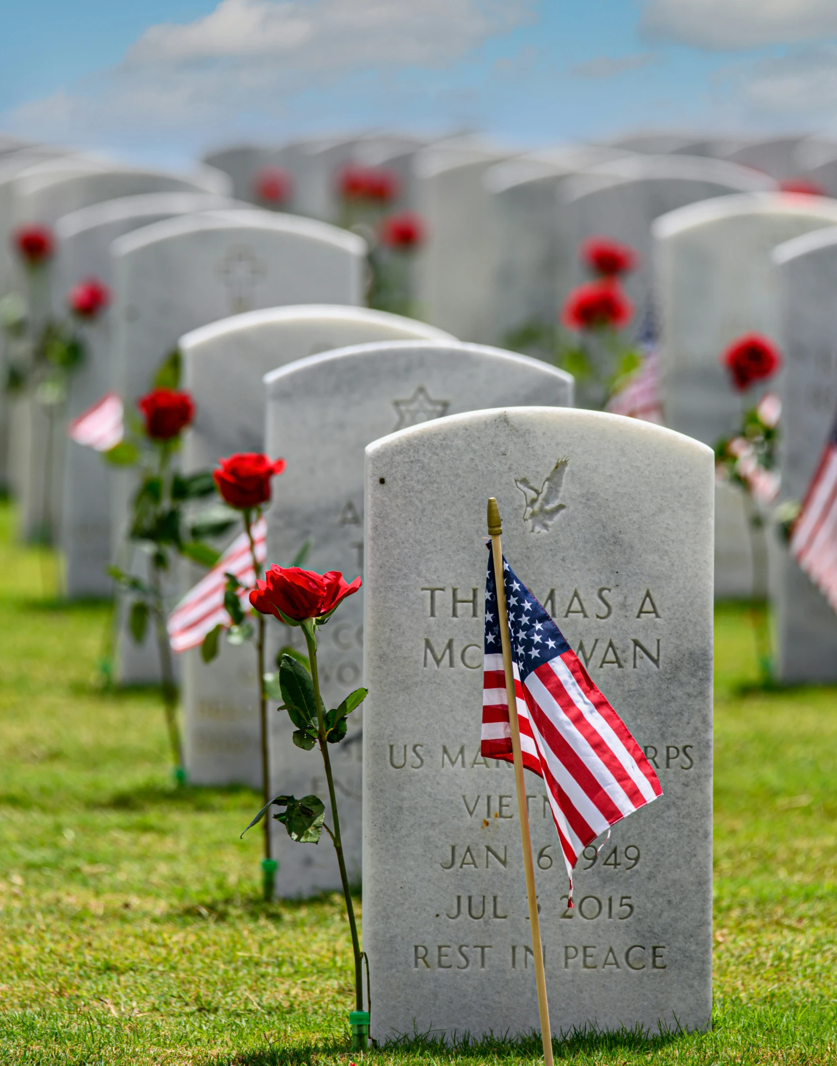 a flag on a pole in a military cemetery