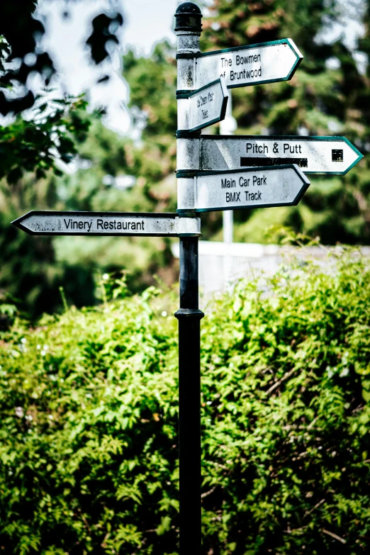 several white and black street signs in front of green bushes