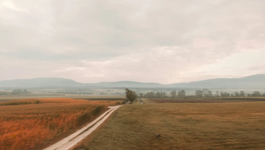 a dirt road passing through a dry grass field