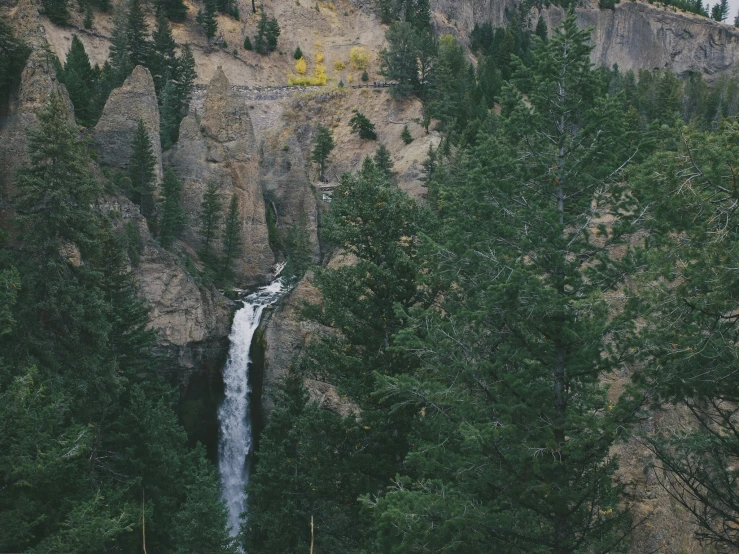 a waterfall near a forest during the day