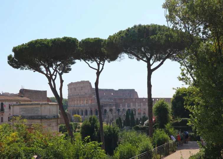 two large trees stand in front of a roman city