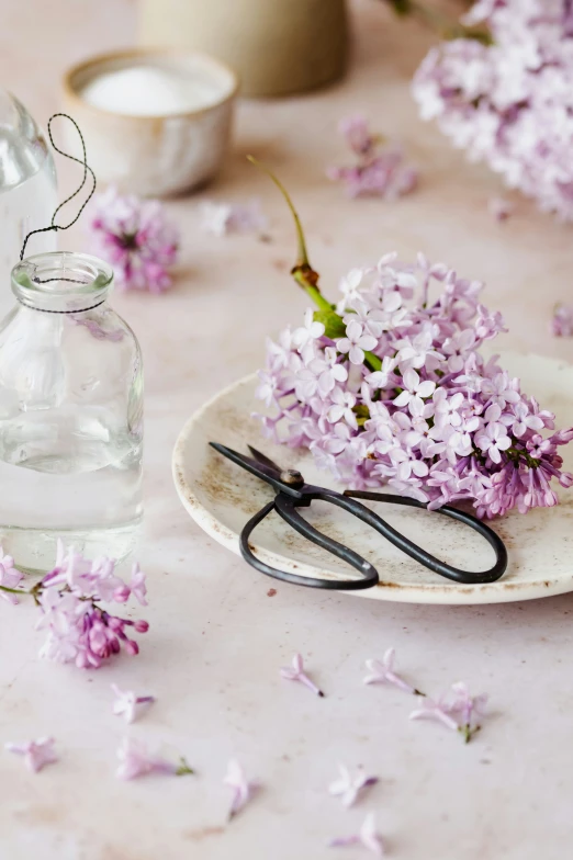 some flowers on a plate and a couple scissors