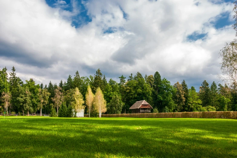 a field with trees and a building on top