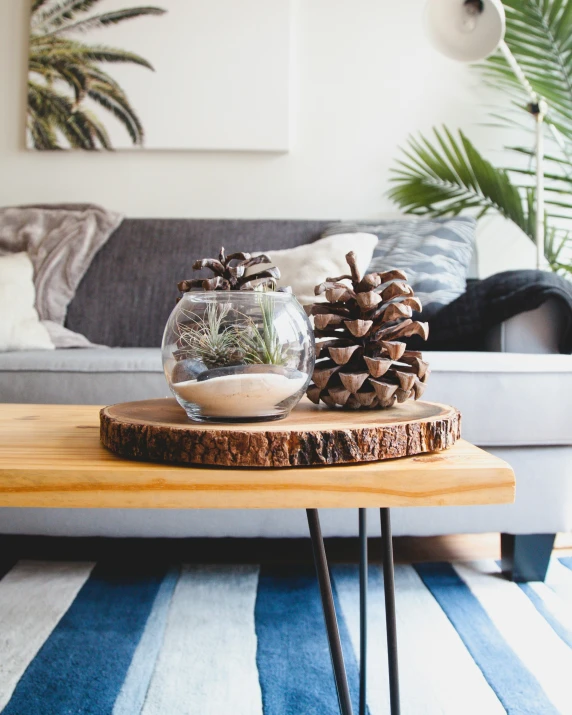 a bowl full of plants on top of a wooden table