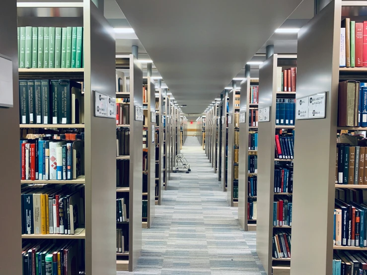 rows of books and bookshelves of all shapes and sizes