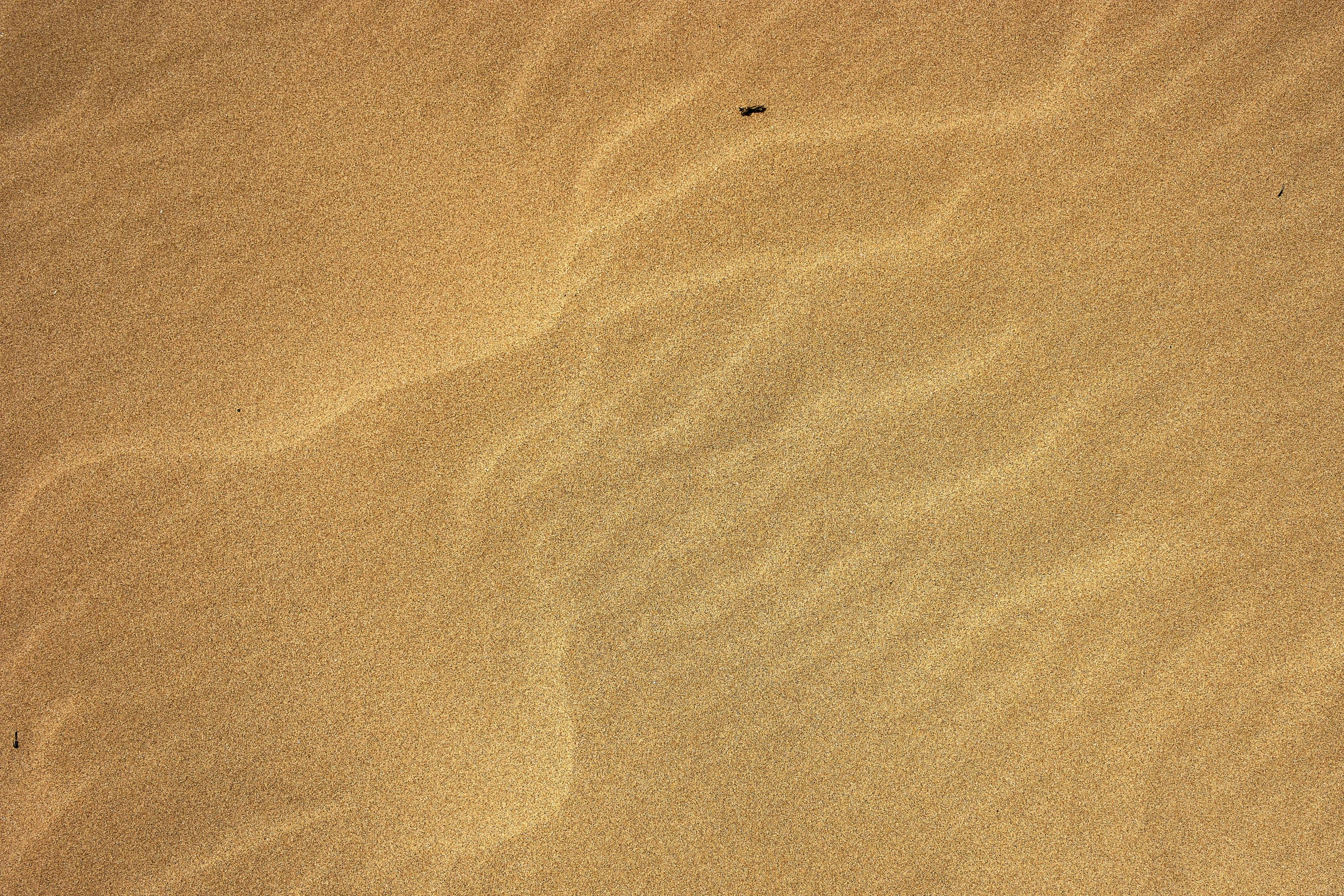 an image of a sandy beach with small waves