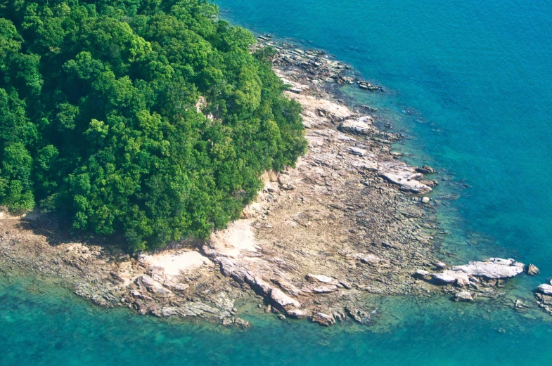 a group of rocks near water with green trees on the side