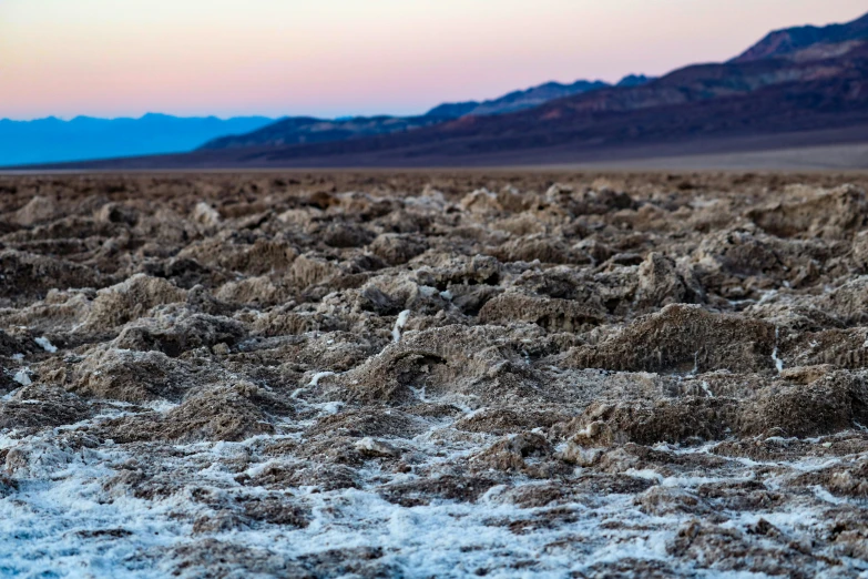 a brown area with sand and plants near mountains