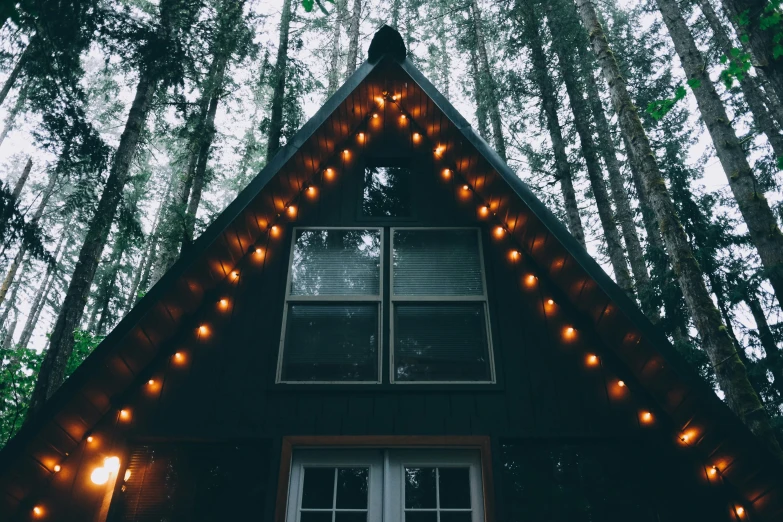 small wood cabin in a tree filled forest at night