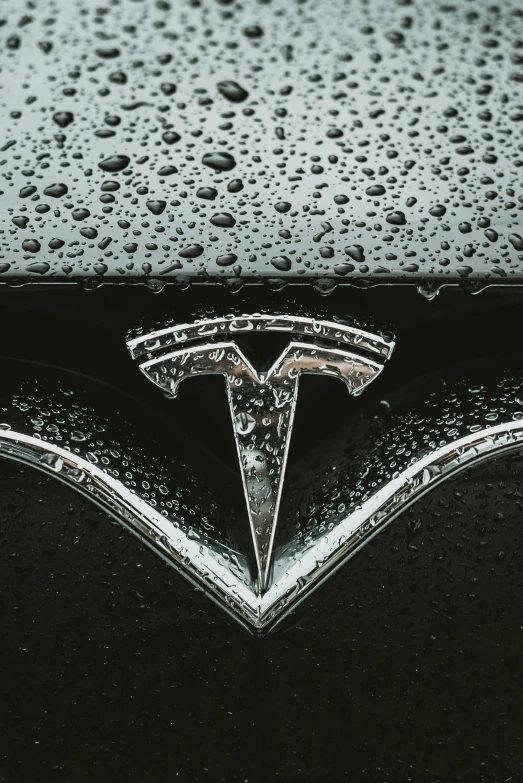 black and white image of the emblem of a tesla car