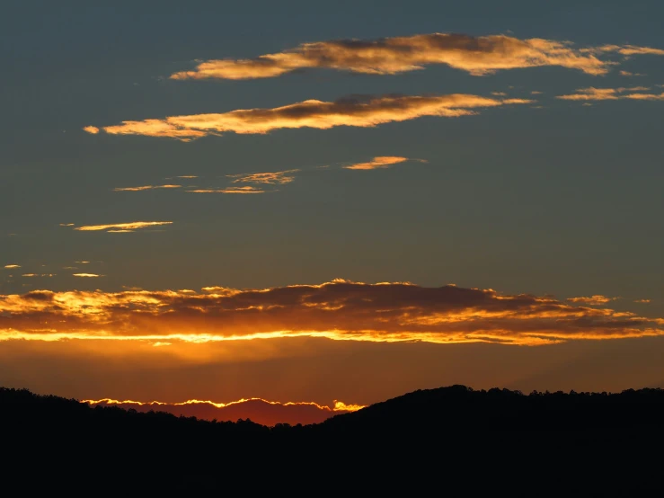 sunset view of a bird soaring through the air