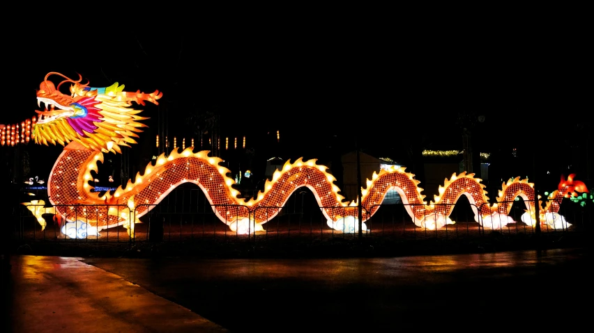 lit dragon lights at night near building