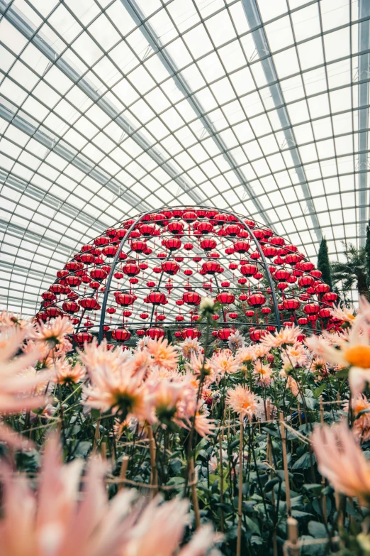 several flowers and plants inside a building on display