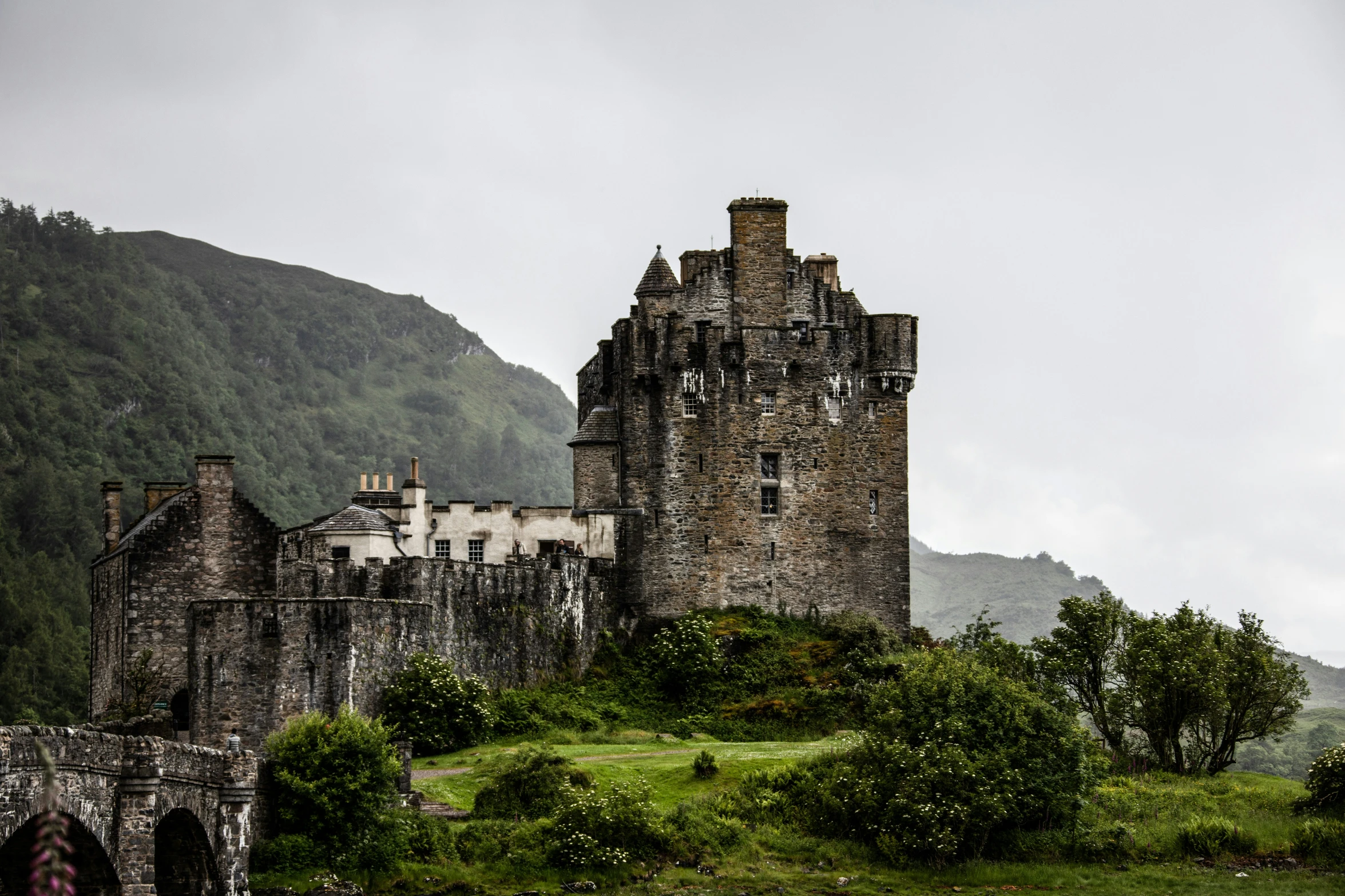 a castle on a hill side with trees surrounding it