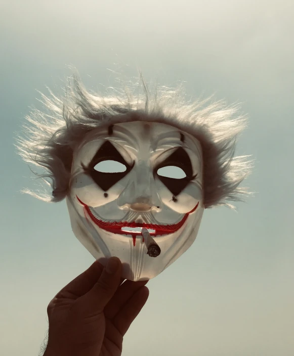 a person holds a mask that is decorated with white hair