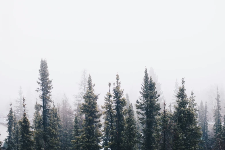 the clouds are so big that they're raining and fog