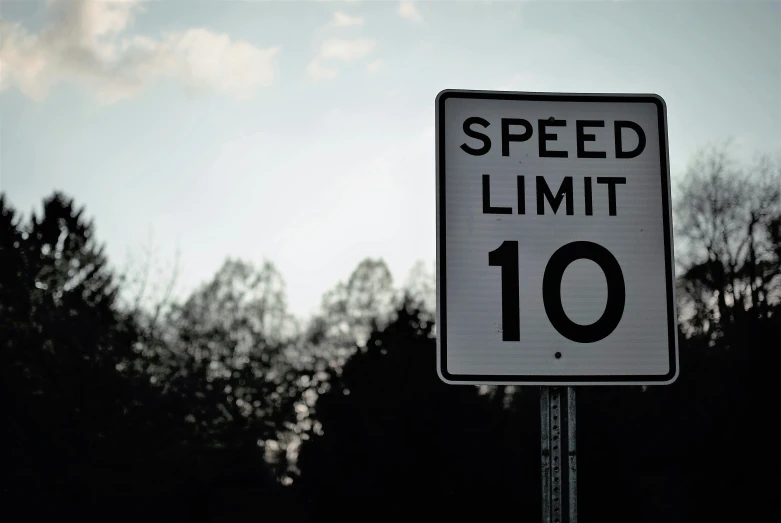 a speed limit sign near the trees with sky in background