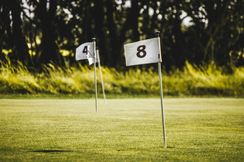 golf flags numbered with the number eight to indicate how many clubs would play