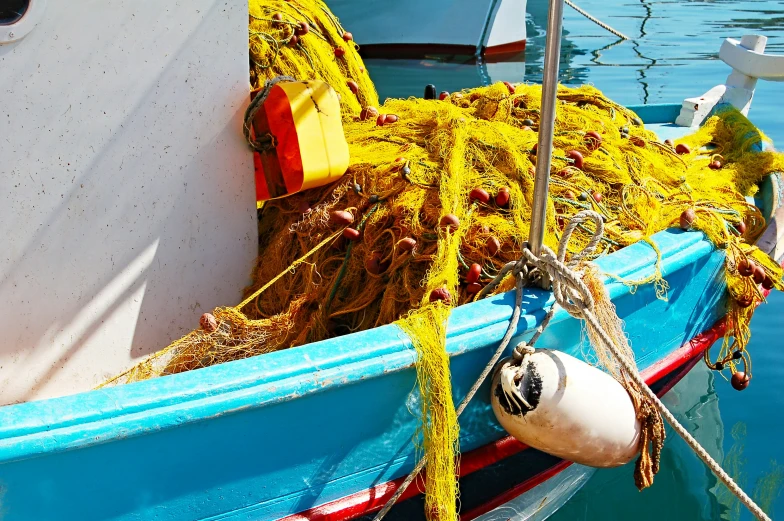 a boat sitting on the ocean with seaweed tied to it