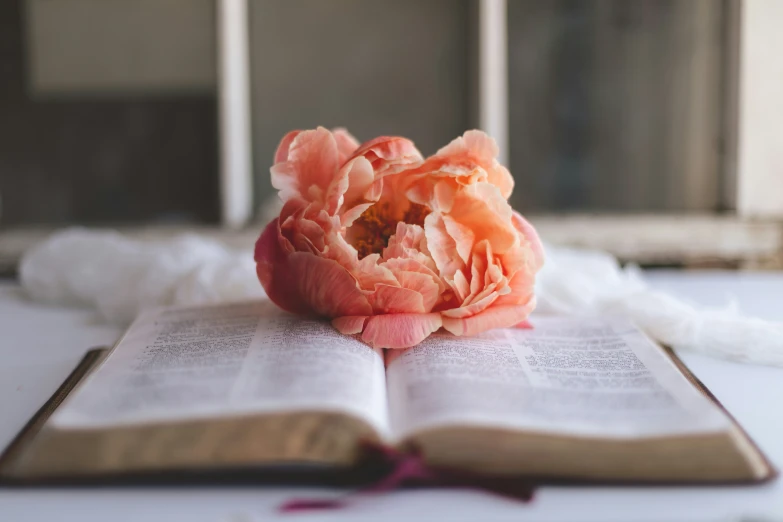 an open book on a table with flowers on it