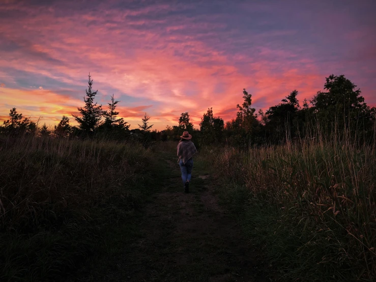 person in blue shirt standing near trees at dusk