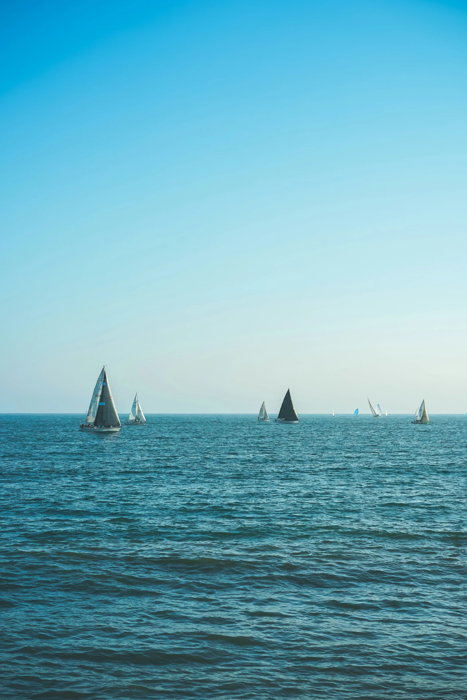 the sailboats are out in the open waters