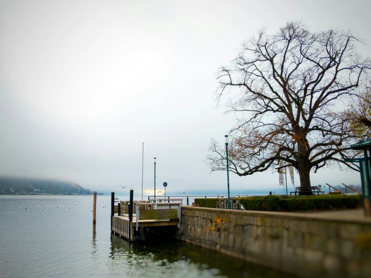 a fishing pier on the edge of a body of water