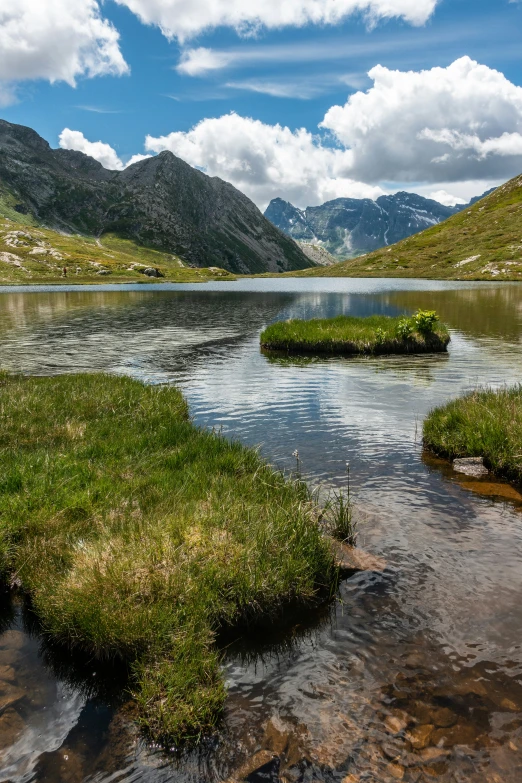 some little water plants on some water and hills