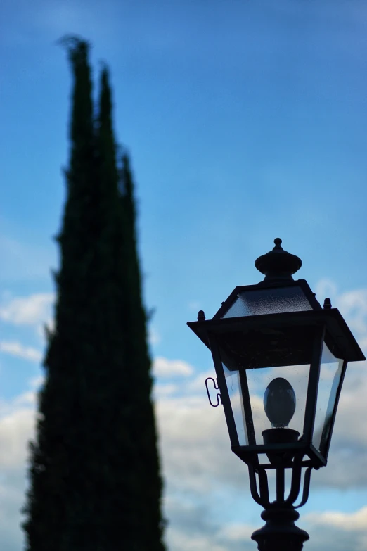 a lamp post with a street light near some trees