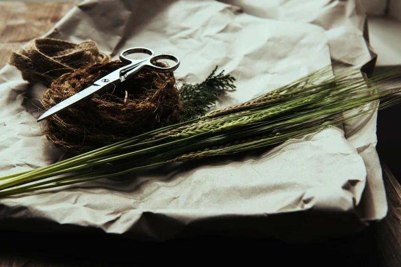 scissors and grass on a piece of paper