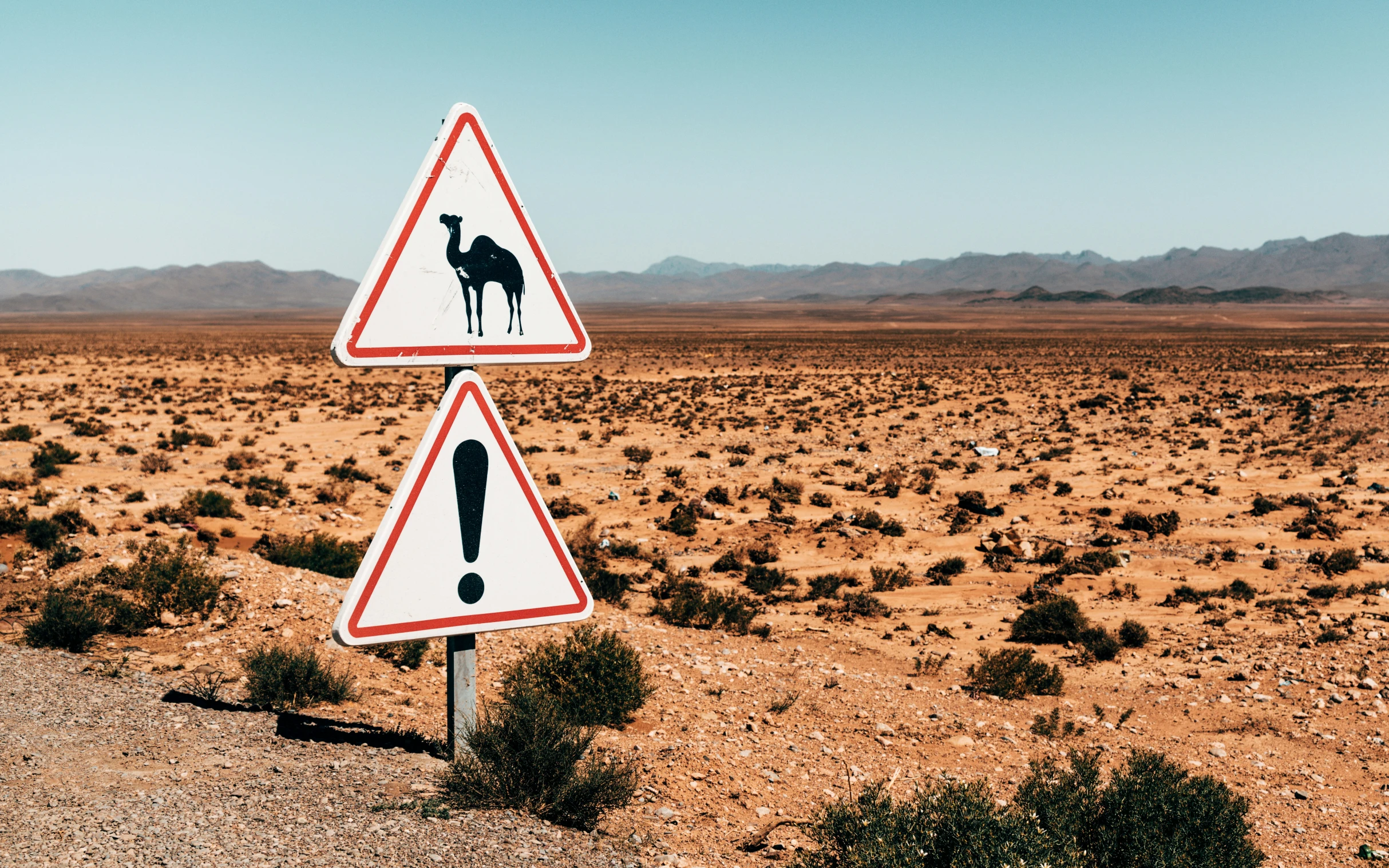 there are two street signs in the desert