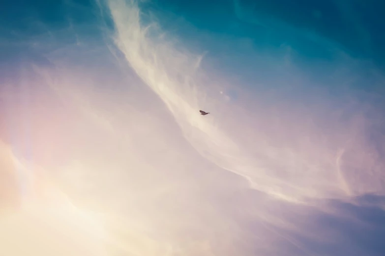 a single bird flying in an open sky