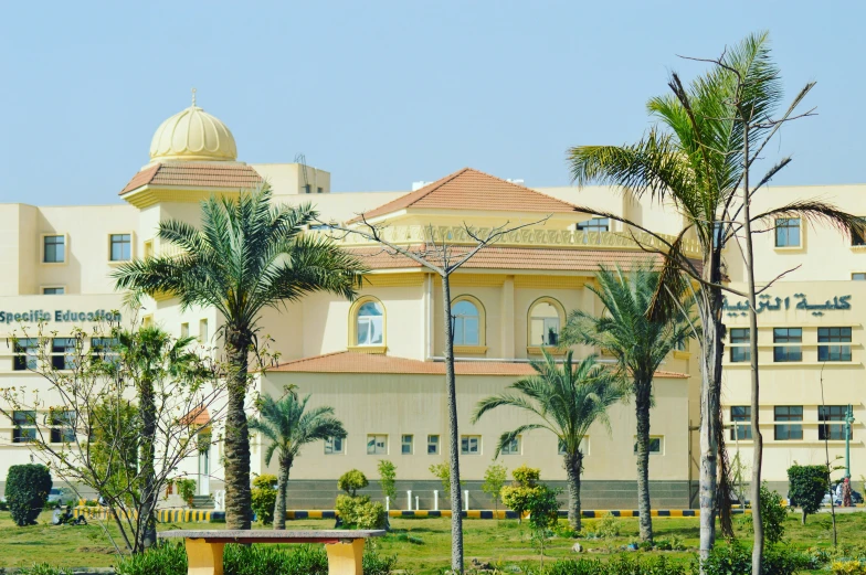 several palm trees sit in front of a yellow and white building