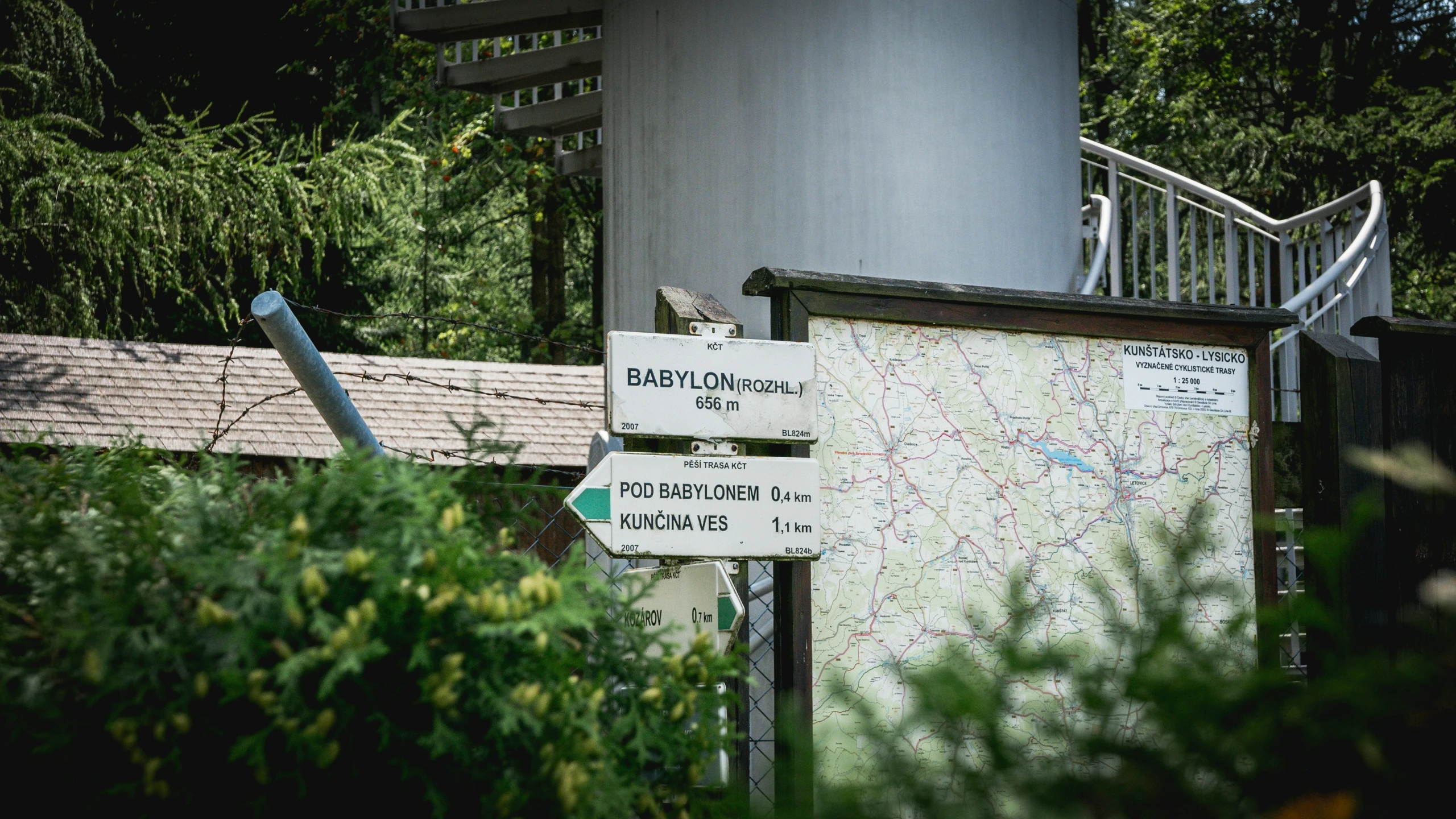 a road sign pointing in the direction of a forest