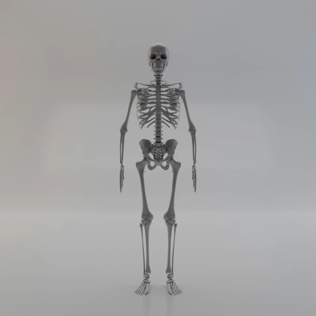 an image of a skeleton in the same pose