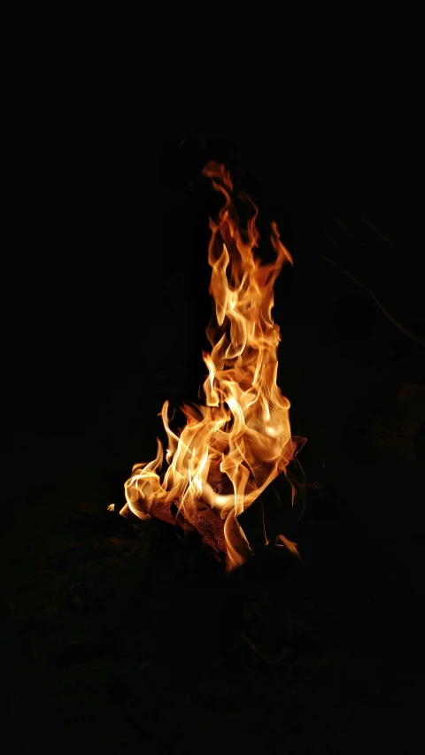 fire burning in the dark, close to the ground